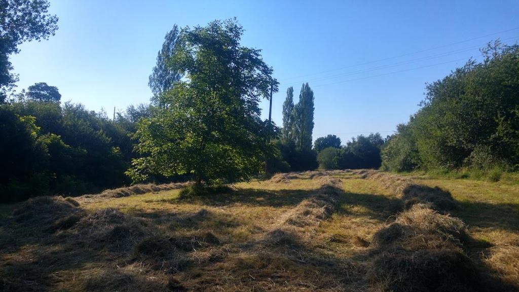 L'Angeberdiere Saint-Mars-sur-la-Futaie Eksteriør bilde